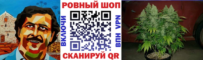 Какие есть наркотики Слюдянка Конопля МЕФ A PVP ГАШИШ Галлюциногенные грибы Кокаин