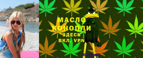 сатива Армянск