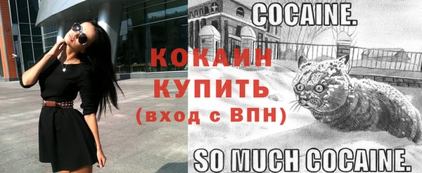 СК Абаза
