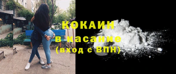 прущие грибы Аркадак