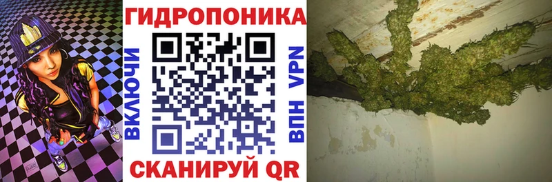 Шишки марихуана Ganja  купить   Слюдянка 